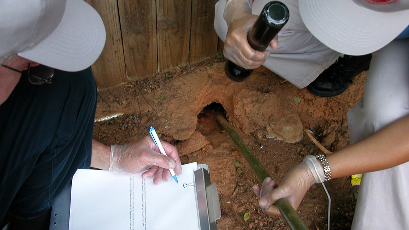 Two vector control inspectors looking into a hole near a fence.