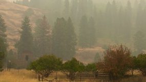 Manténgase seguro después de un incendio forestal Una foto de casas en la ladera de una montaña rodeada de árboles.