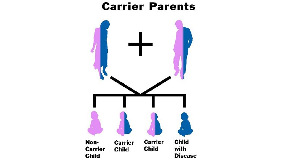 Carrier parents with four children: one non-carrier, two carrier children, and one child with the disease