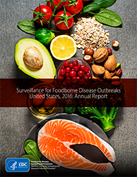 cover image of 2016 Foodborne Outbreak report