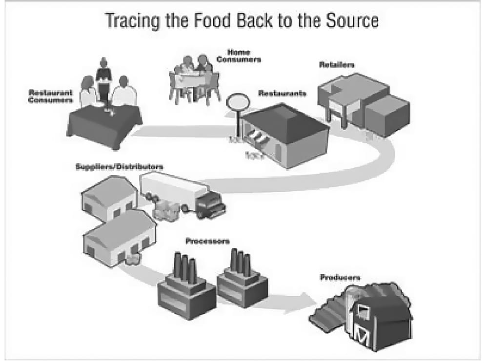 Infographic that shows how food is traced back to its source