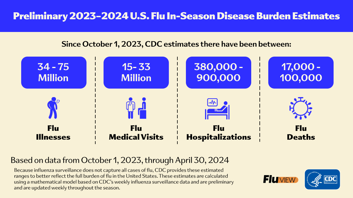 Preliminary Estimated Flu Disease Burden 2023–2024 Flu Season | Flu ...