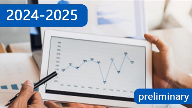 Preliminary Estimated Flu Disease Burden 2024-2025 Flu Season | Flu ...