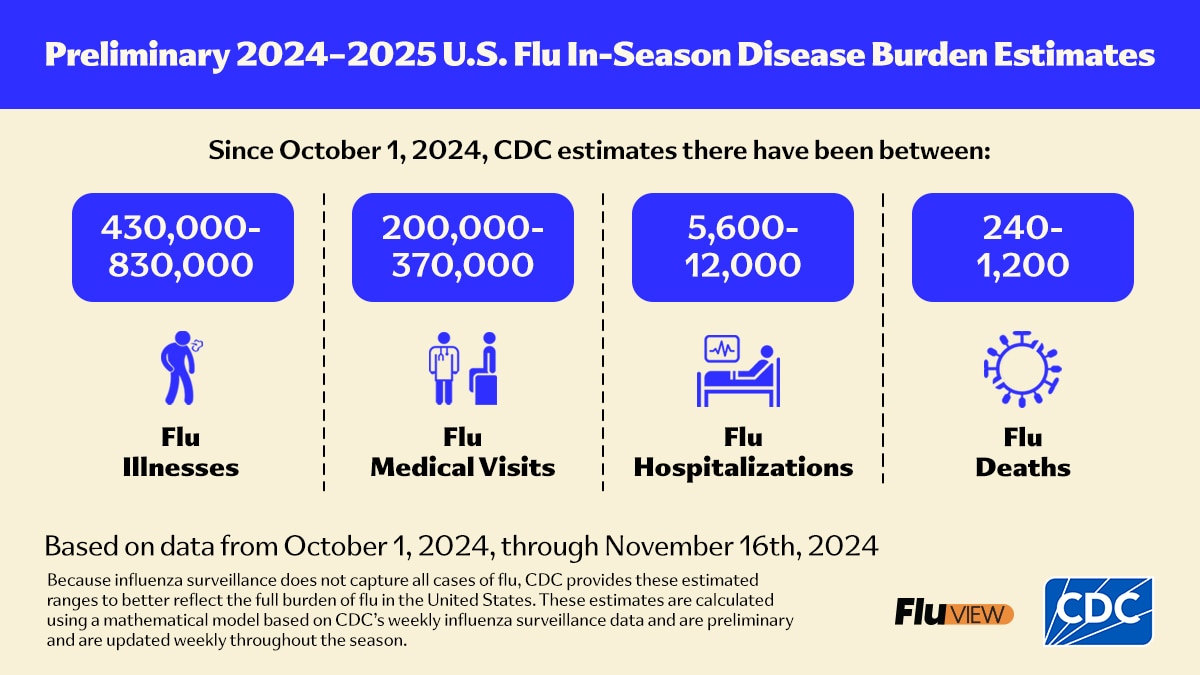 Preliminary 2024-2025 U.S. Flu In-Season Disease Burden Estimates Based on data from October 1, 2024, through November 9, 2024