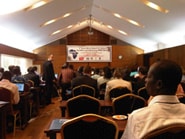 African Network for Influenza Surveillance and Epidemiology (ANISE)