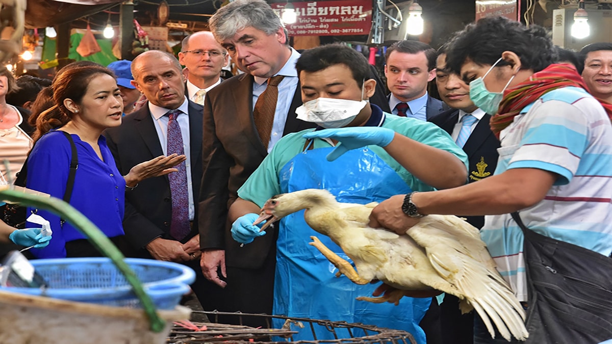 People in a huddle around a bird in a live bird market
