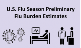 U.S. Flu Season Preliminary Flu Burden Estimates