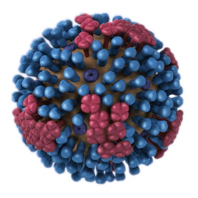 representation of virus
