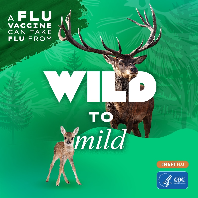 Elk compared to fawn with text: A flu vaccine can take flu from Wild to Mild #fightflu cdc logo