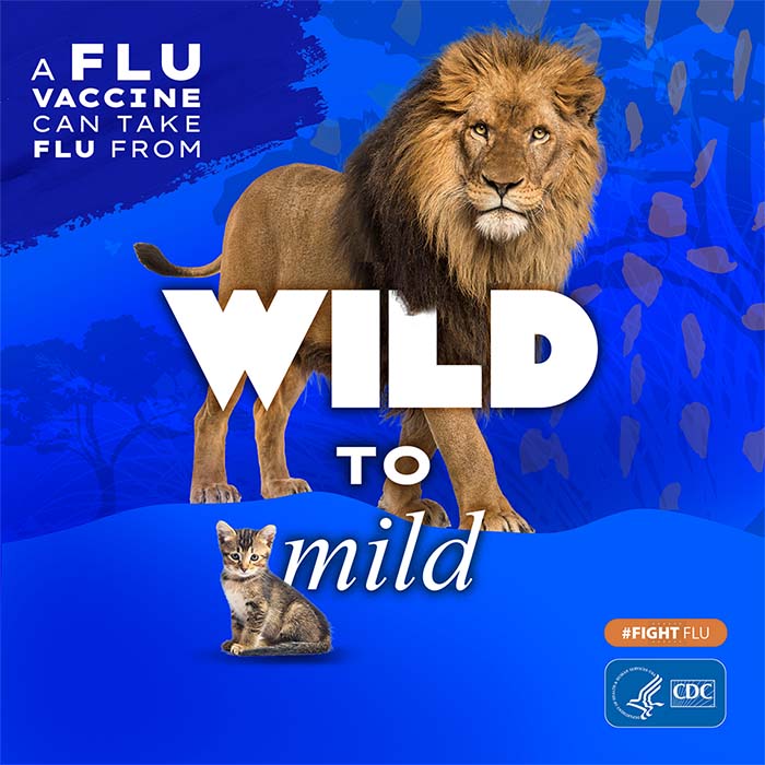 狮子和小猫与文字：流感疫苗可以将流感从野生传播到轻度#fightflu CDC标志