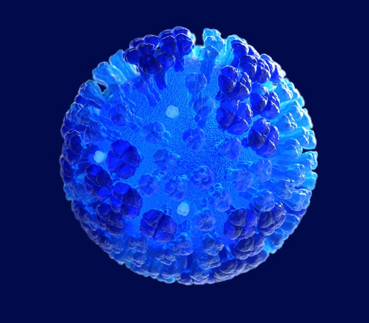 rhinovirus under microscope
