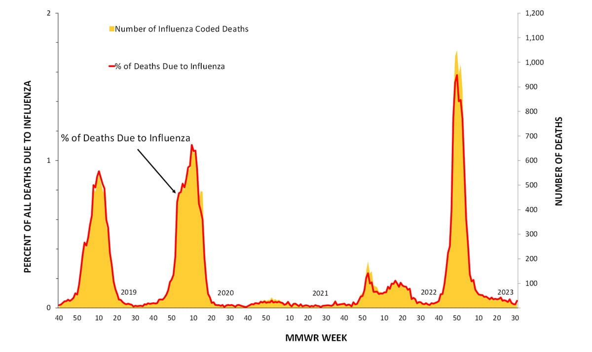 Influenza Activity in the United States during the 20222023 Season and