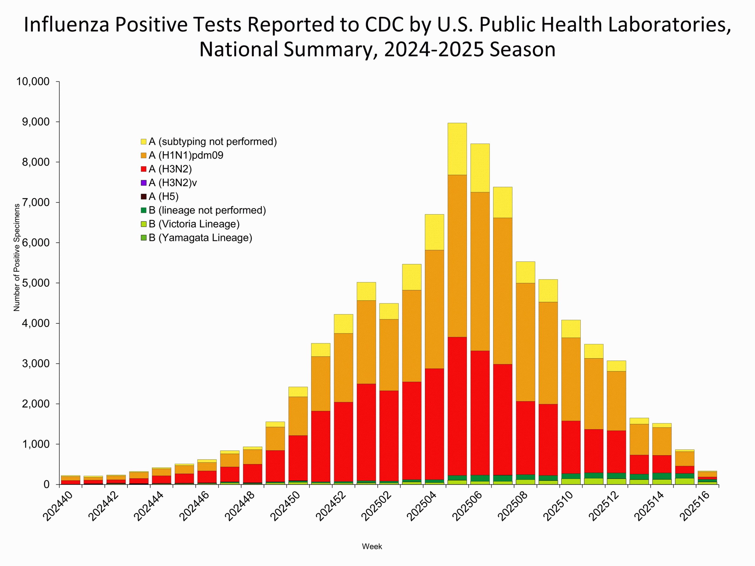This graph reflects the number of specimens tested and the number determined to be positive for influenza viruses at the public health lab (specimens tested is not the same as cases). It does not reflect specimens tested only at CDC and could include more than one specimen tested per person. Specimens tested as part of routine influenza surveillance as well as those tested as part of targeted testing for people exposed to influenza A(H5) are included.