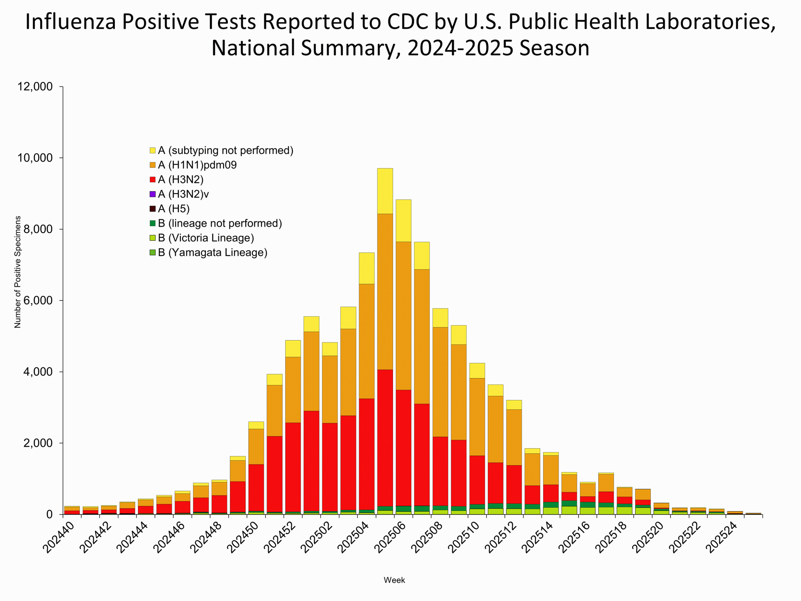 This graph reflects the number of specimens tested and the number determined to be positive for influenza viruses at the public health lab (specimens tested is not the same as cases). It does not reflect specimens tested only at CDC and could include more than one specimen tested per person. Specimens tested as part of routine influenza surveillance as well as those tested as part of targeted testing for people exposed to influenza A(H5) are included.