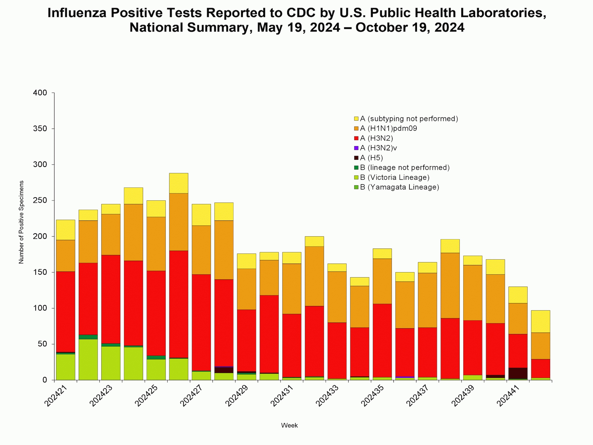 *This graph reflects the number of specimens tested and the number determined to be positive for influenza viruses at the public health lab (specimens tested is not the same as cases). It does not reflect specimens tested only at CDC and could include more than one specimen tested per person. Specimens tested as part of routine influenza surveillance as well as those tested as part of targeted testing for people exposed to influenza A(H5) are included.