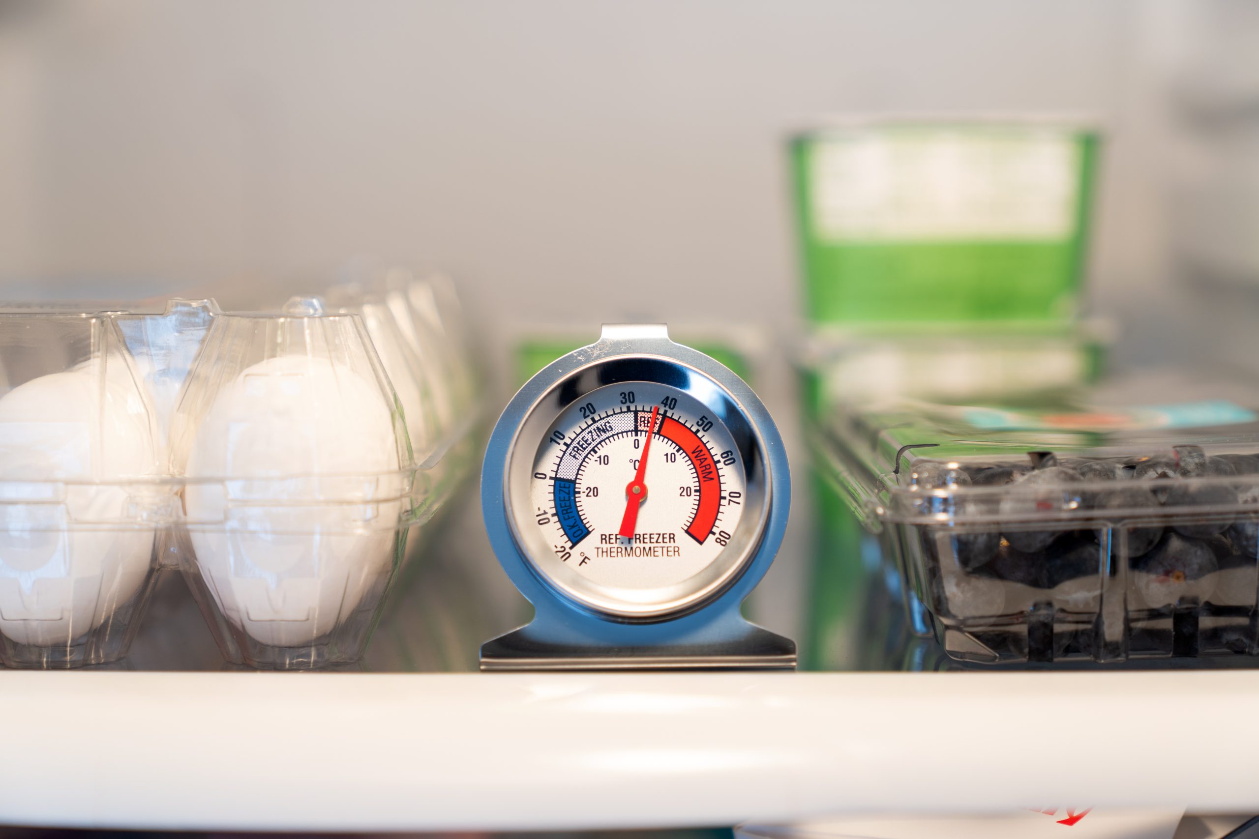 Eggs and blueberries in a refrigerator with a thermometer