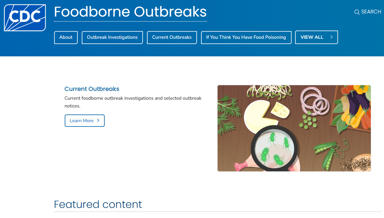 Screenshot of CDC's Foodborne Outbreaks Website Index Page
