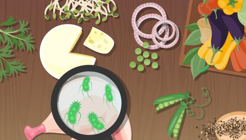 illustration of cheese, raw chicken, and veggies with a microscope showing germs