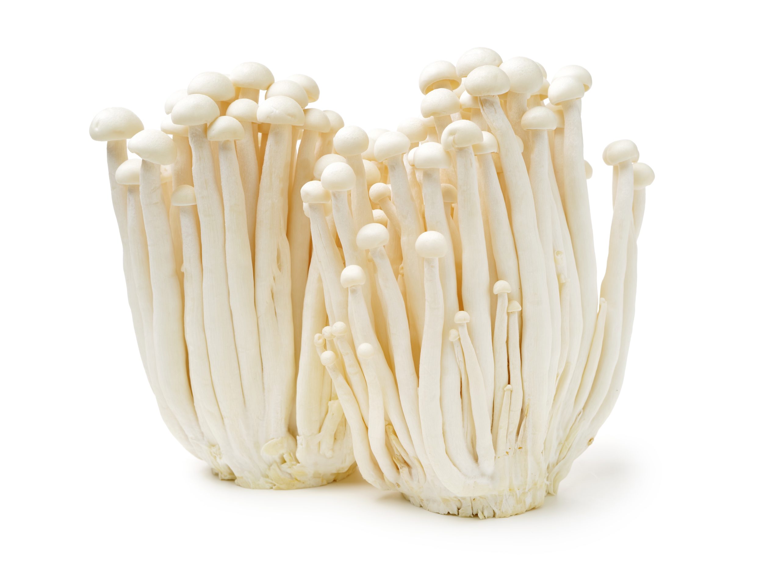 Enoki Mushrooms