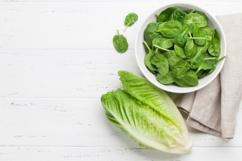 The Best Method for Washing and Drying Salad Greens