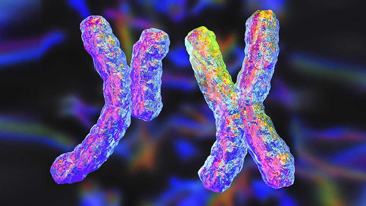 Two colorful chromosomes with a dark background