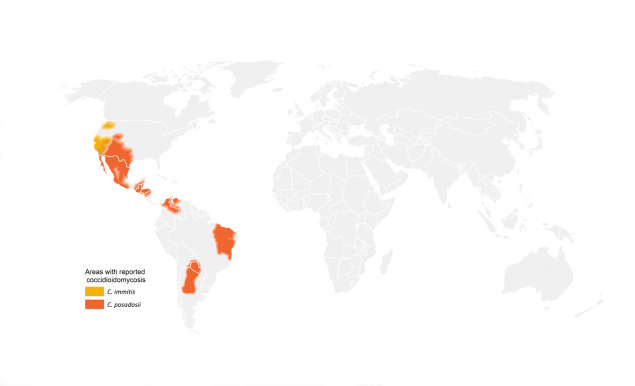Estimated areas with coccidioidomycosis (Valley fever) worldwide