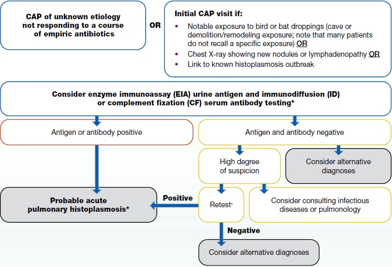 Histoplasmosis flow chart