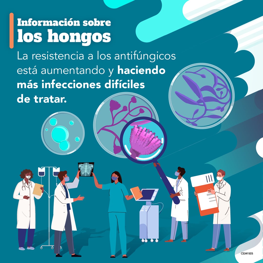 Información sobre los hongos: La resistencia a los antifúngicos está aumentando y haciendo más infecciones difíciles de tratar.