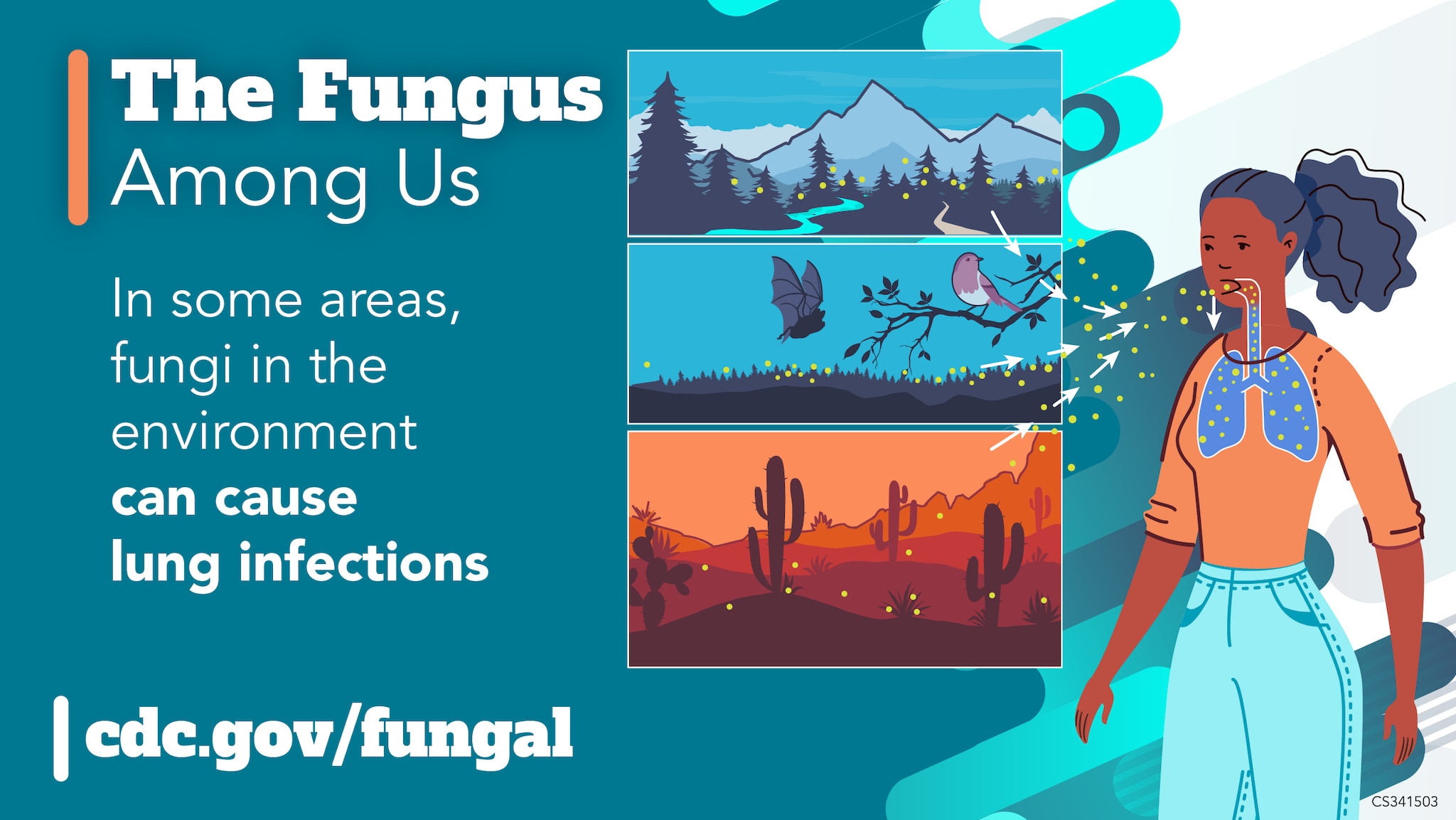 The Fungus Amoung Us: In some areas, fungi in the environment can cause lung infections. cdc.gov/fungal