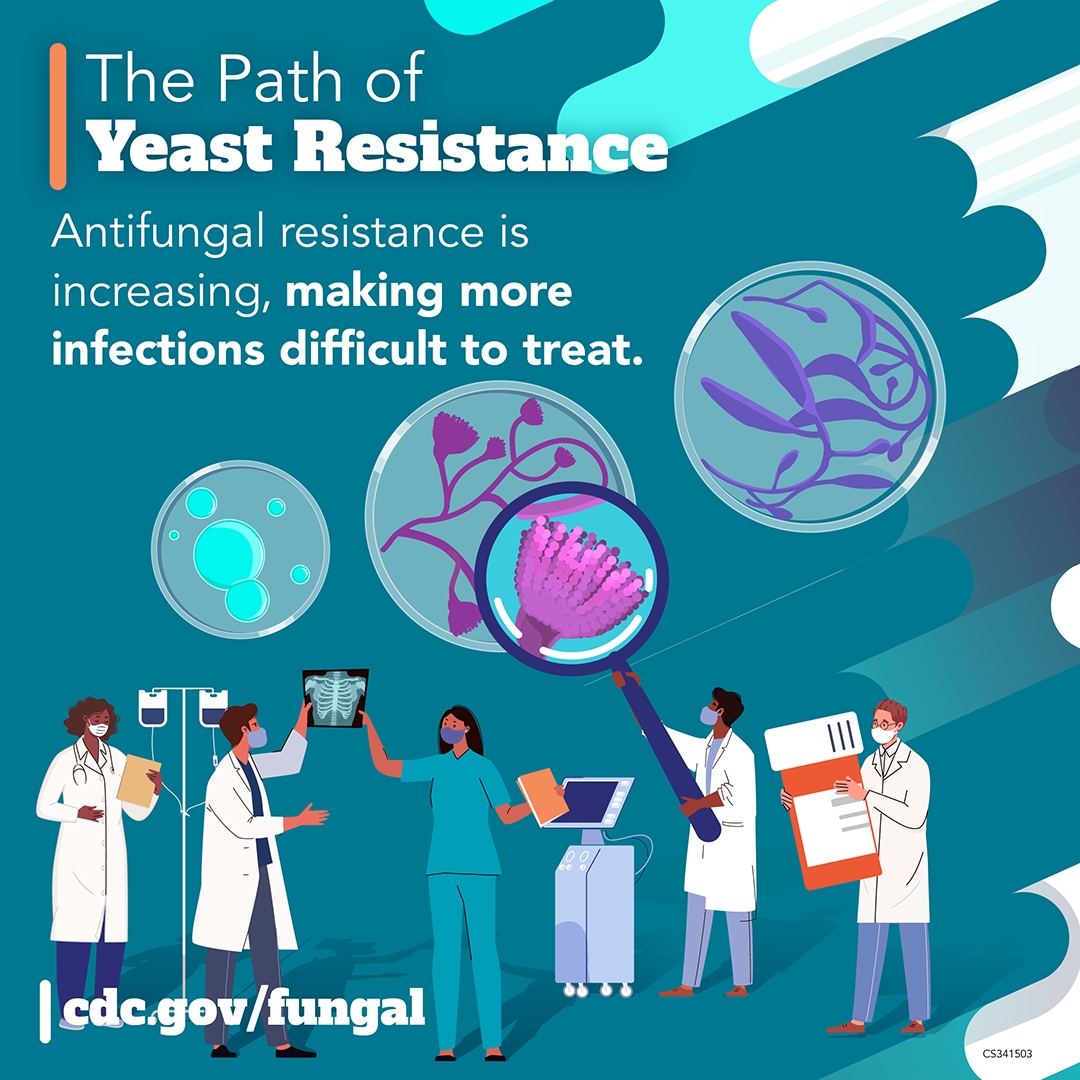 The Path of Yeast Resistance: Antifungal resistance is increasing, making more infections difficult to treat. dcd.gov/fungal