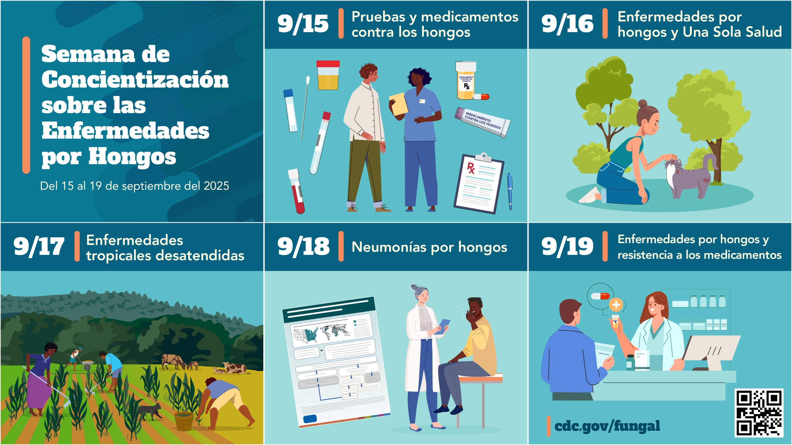 Una serie de imágenes que muestran las fechas y los temas de la Semana de Concientización sobre las Enfermedades por Hongos. El texto dice: "9/15- Pruebas y medicamentos contra los hongos, 9/16- Enfermedades por hongos y Una Sola Salud,9/17- Enfermedades tropicales desatendidas, 9/18- Neumonías por hongos, 9/19- El futuro de las enfermedades por hongos".