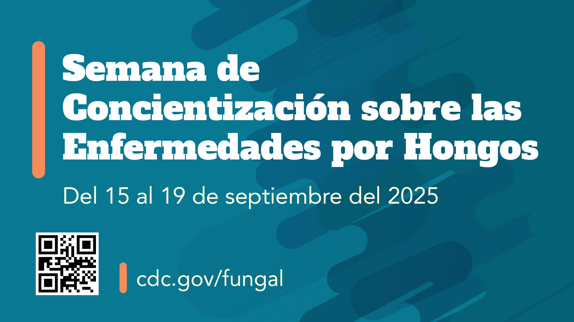 Semana de Concientización sobre las Enfermedades por Hongos, del 15 al 19 de septiembre del 2025. Un código QR lleva al usuario a <a href="http://www.cdc.gov/fungal" class="ce-selection">www.cdc.gov/fungal</a><br>