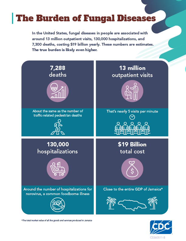 Graphic shows estimated number of deaths, hospitalizations, outpatient visits and financial costs linked to fungal diseases.