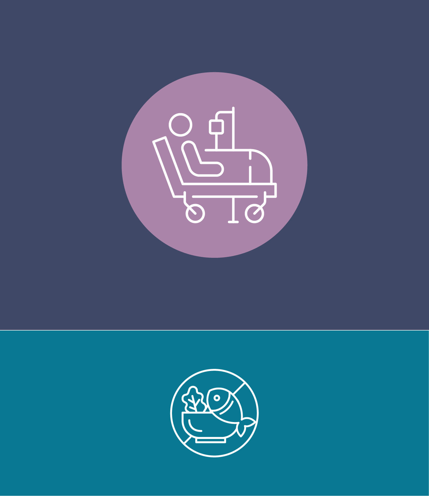 Top of the image shows a patient in a hospital bed and the bottom shows a bowl with salad and fish crossed out.
