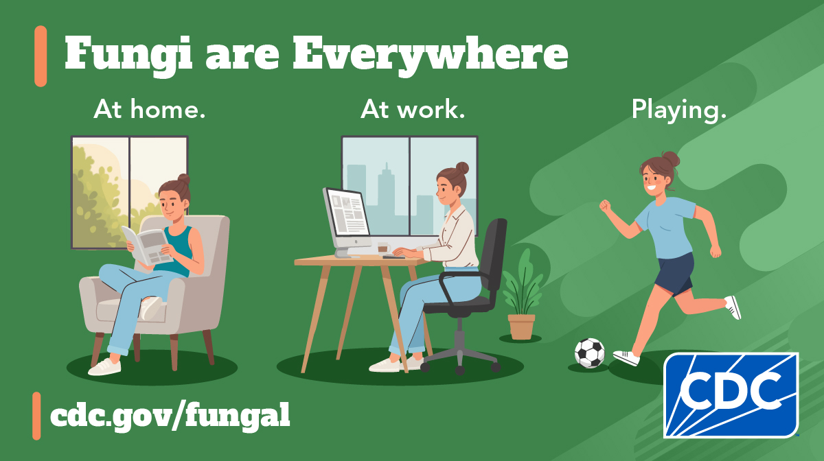 Fungi are everywhere. A girl is shown at home, work, playing