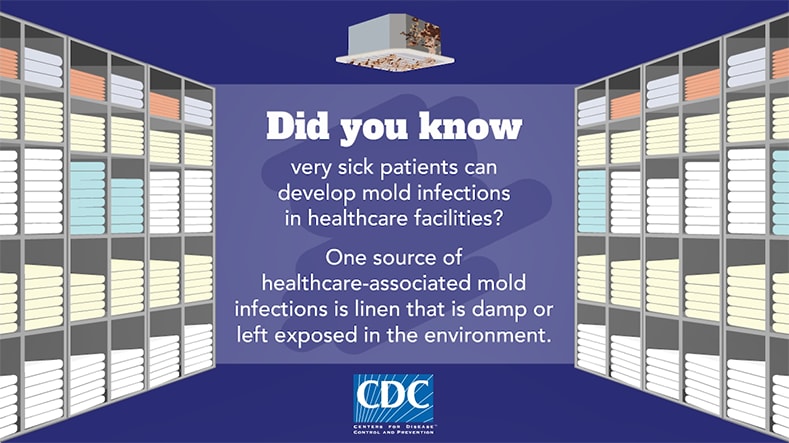 image of a hospital laundry room with text: "Did you know very sick patients can develop mold infections in  healthcare facilitieis? One sources of healthcare-associated mold infections is linen that is damp or left exposued in the environment.