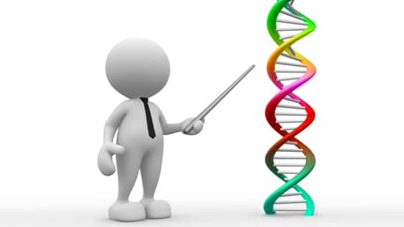Re: [問卦] 遺傳基因會受後天影響嗎