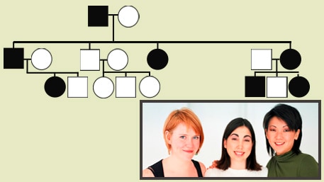 a pedigree and a photo of three woman