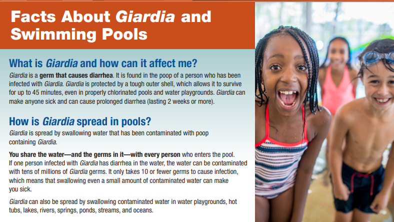 Screenshot of part of a factsheet called, "Facts About Giardia and Swimming Pools"
