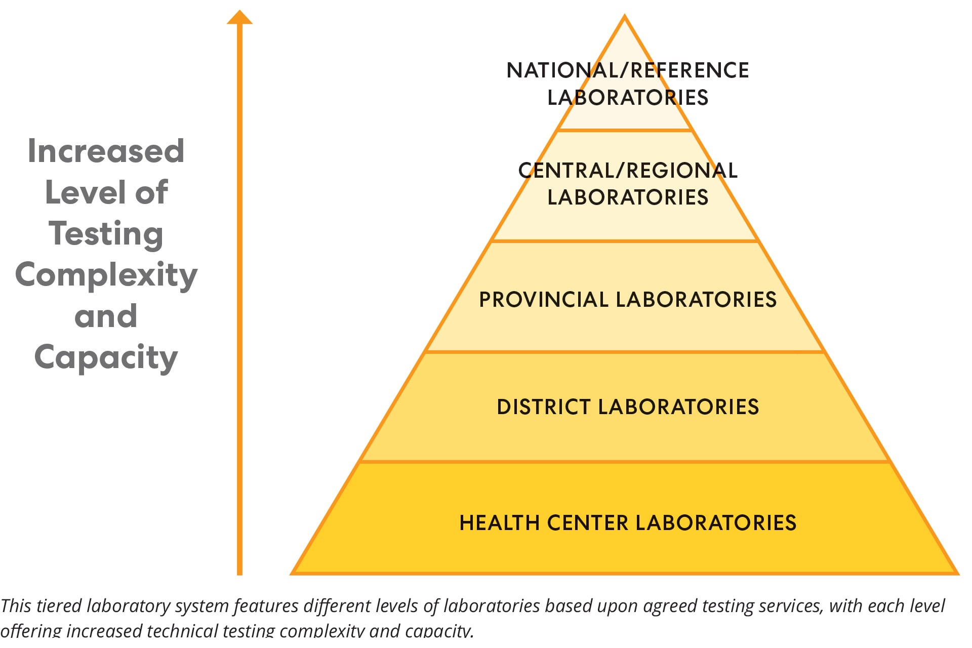 Pyramid of tiered laboratory testing complexity and capacity