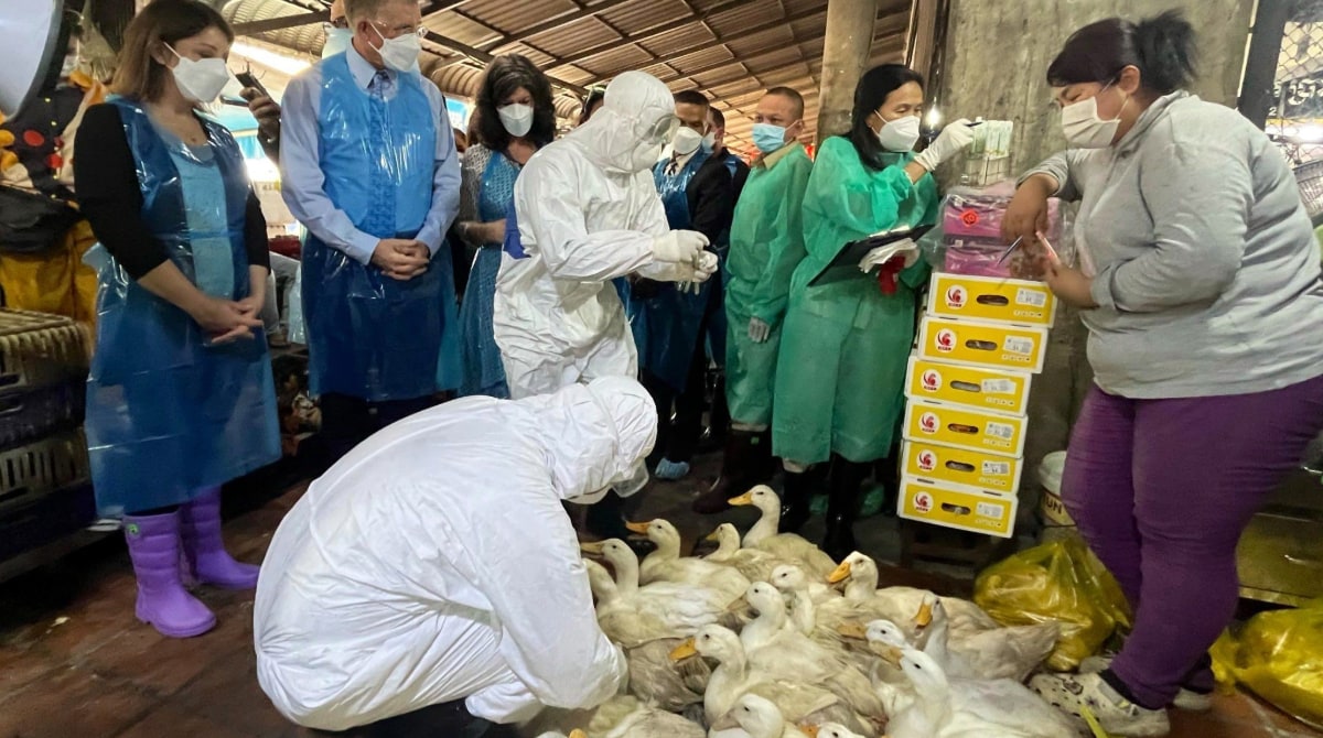 Group of people stand while a person with personal protective equipment handles a group of birds.