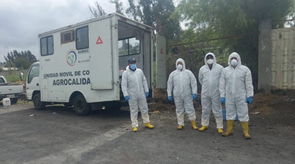 Los trabajadores llevan trajes protectores blancos que cubren todo el cuerpo, guantes, máscaras y botas amarillas. Están de pie junto a una unidad móvil blanca con una etiqueta que dice "Unidad Móvil de Control Agrocalidad".