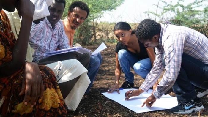 Ethiopian health workers are squatting on the ground outdoors, doing a field investigation.