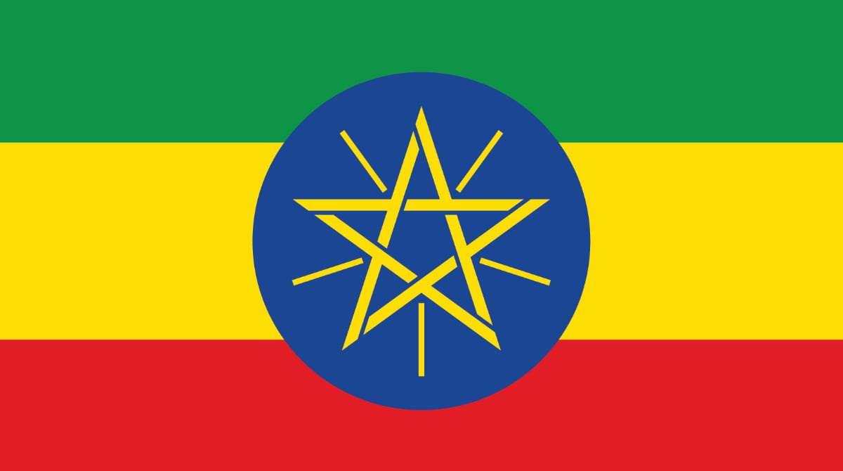 Ethiopia flag, green strip at the top, yellow strip in the middle, red strip at the bottom, blue circle in the middle with a yellow star.