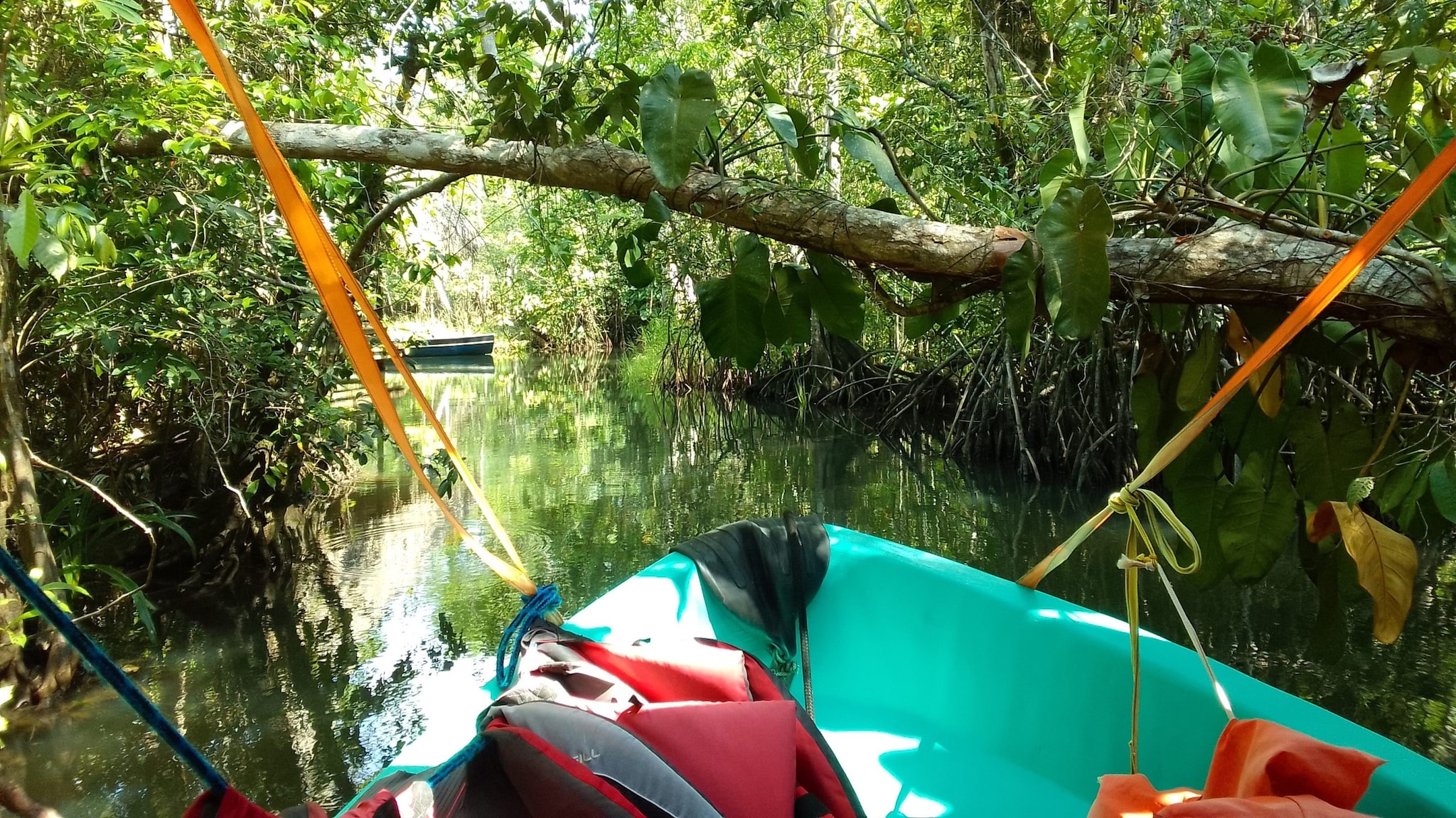 A small boat travels through a narrow river under a tree limb.
