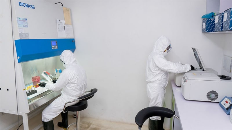 two people testing COVID-19 samples