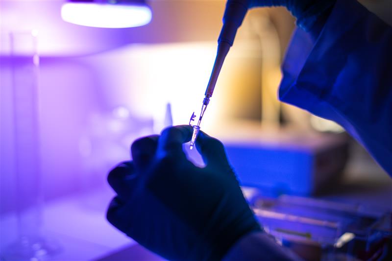 Hands pipetting into a microtube.