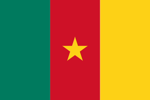 Image of the Cameroonian flag.