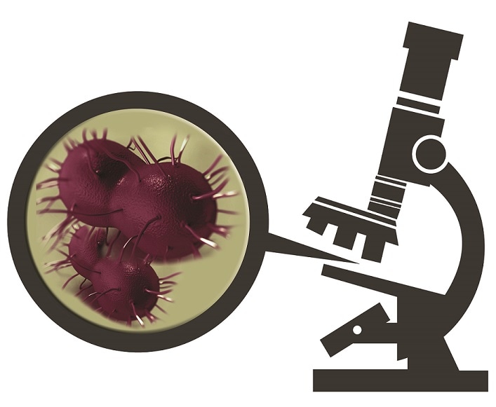 An illustration of a microscope with the bacterium that causes gonorrhea shown large enough for the human eye to see.