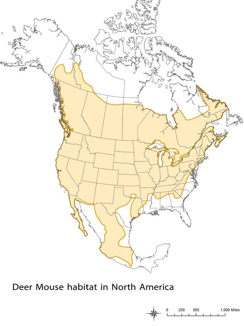 CDC - Deer Mouse Habitat in North America - Hantavirus